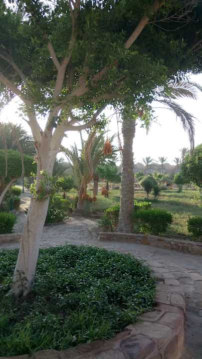 Gartenanlage Pensée Royal Garden Beach Resort