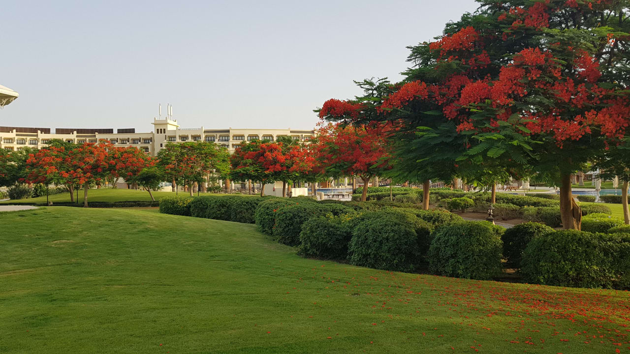 Gartenanlage Steigenberger ALDAU Beach Hotel