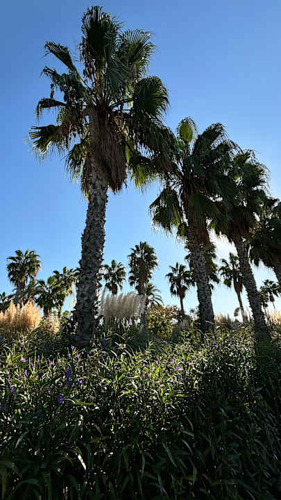 Ausblick Trendy Aspendos Beach Hotel