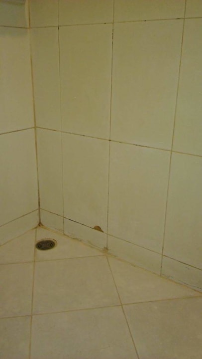 Zimmer The Green Park Resort