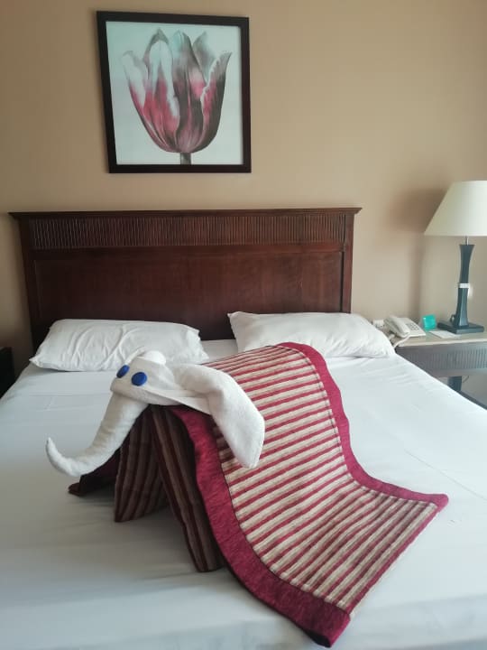 Zimmer JAZ Mirabel Beach