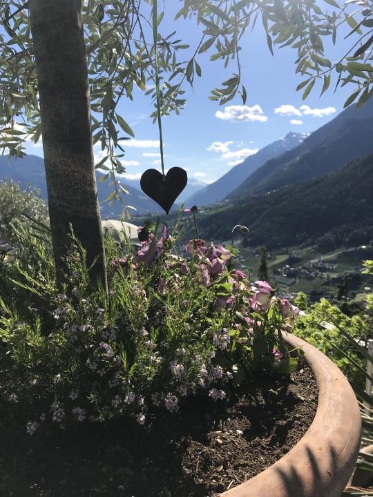 Ausblick Hotel Panorama