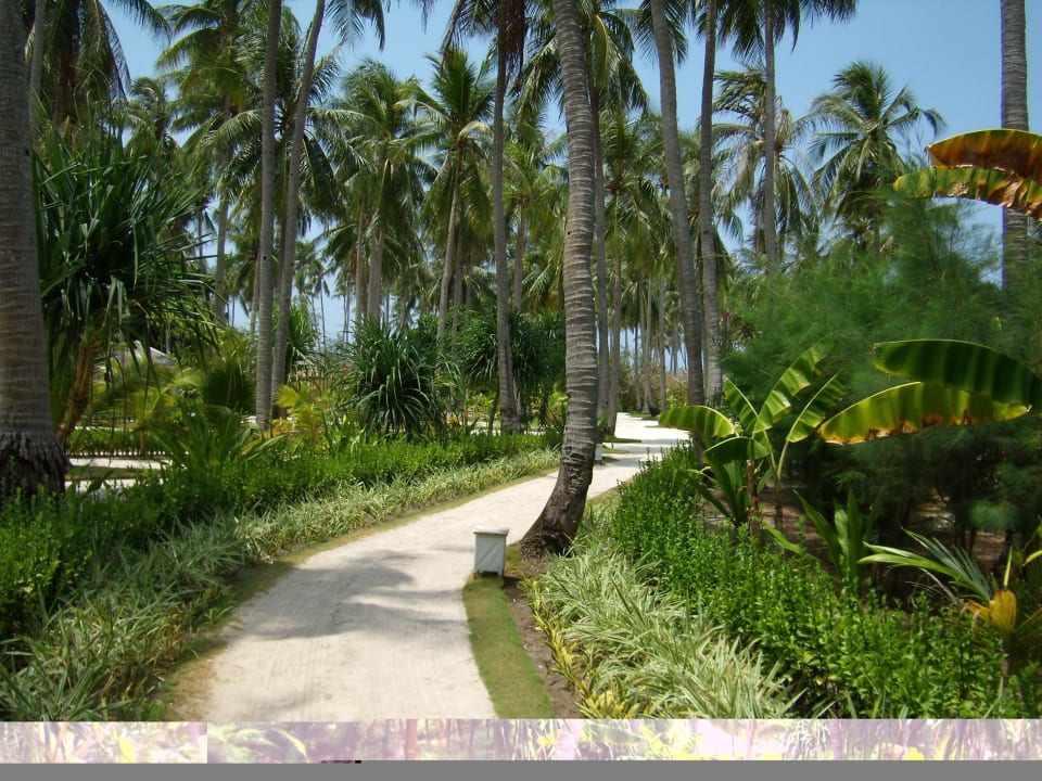 Weg durch die Anlage Kura Kura Resort