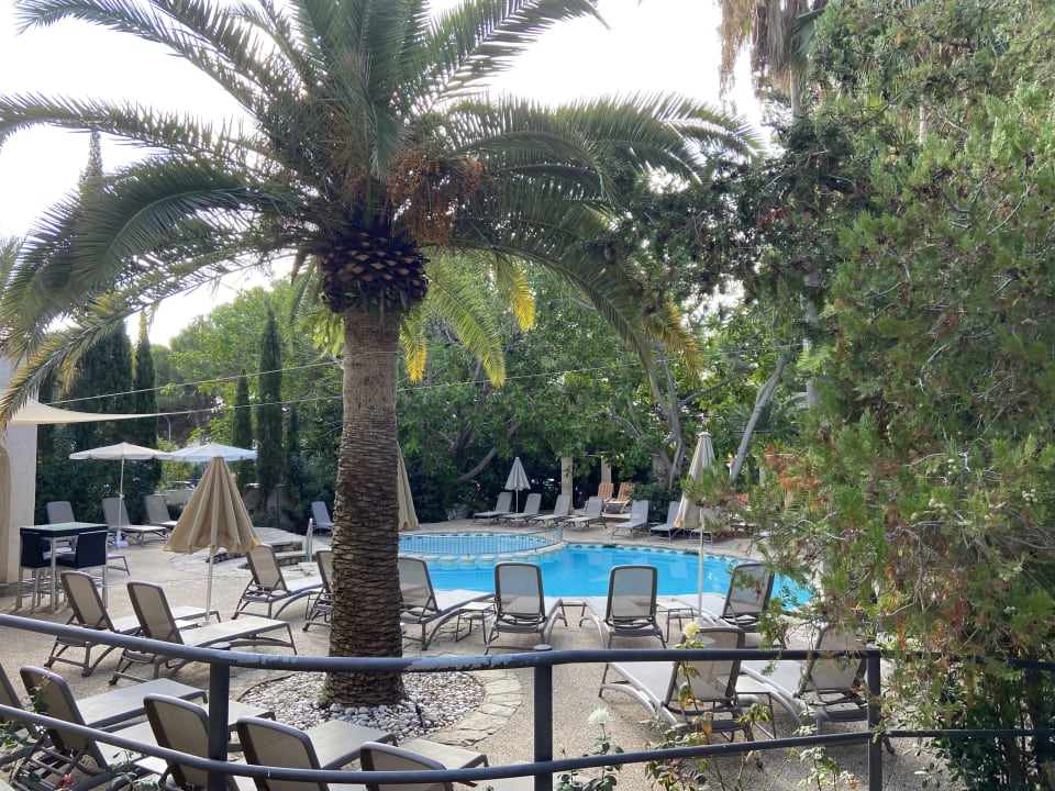 Pool Lago Garden