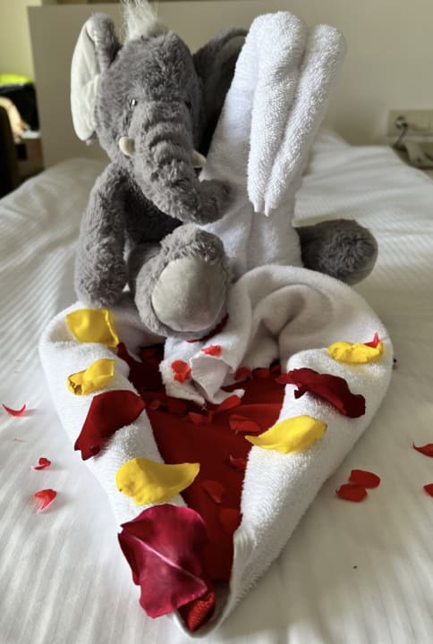 Zimmer Seaden Sea World Resort & Spa