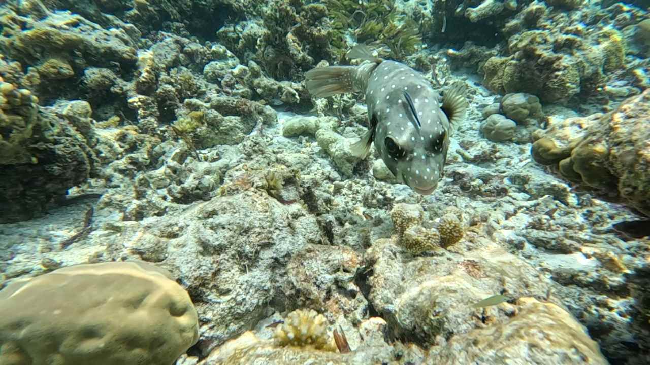 Sonstiges Cinnamon Hakuraa Huraa Maldives