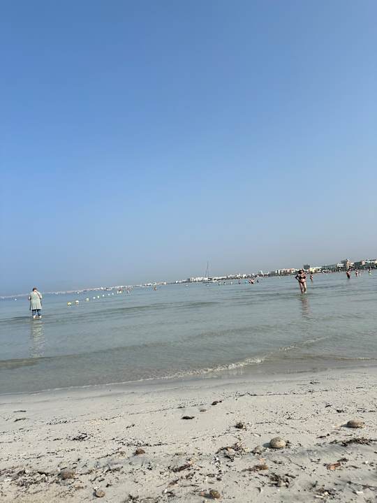 Strand Palma Beach Affiliated by FERGUS