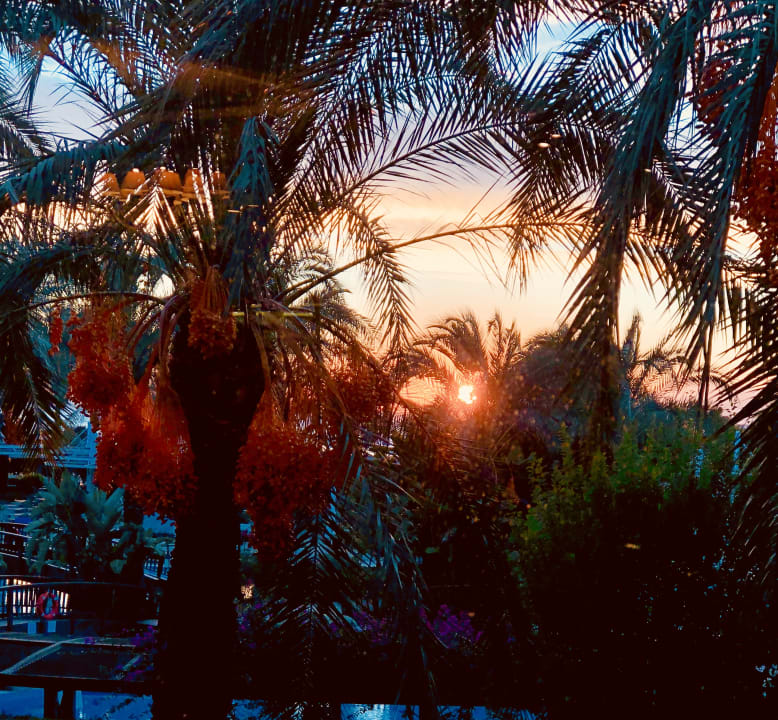 Gartenanlage Sunis Kumköy Beach Resort Hotel & Spa