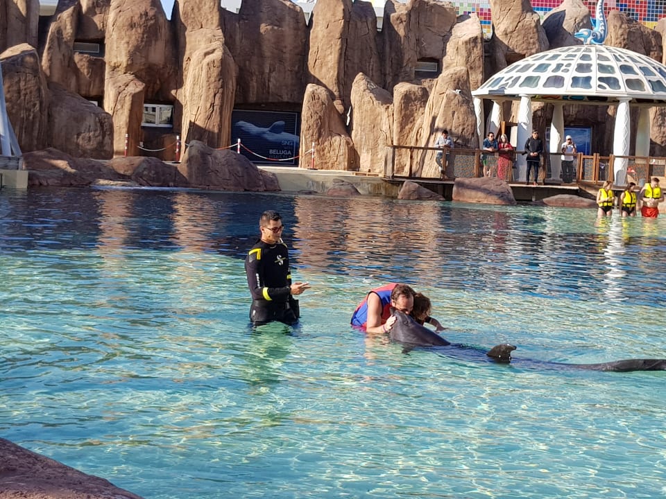 Sport & Freizeit The Land of Legends Kingdom Hotel