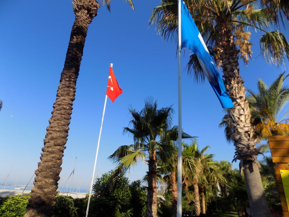 Сад Arycanda Kirman Premium