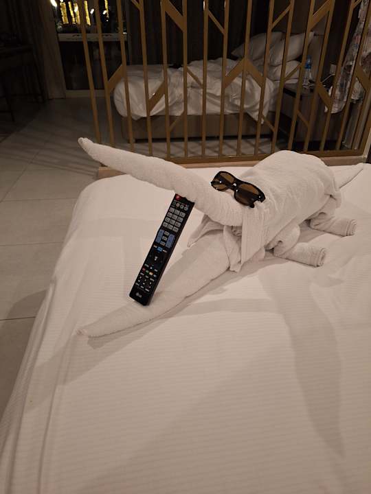 Zimmer Albatros Makadi Resort