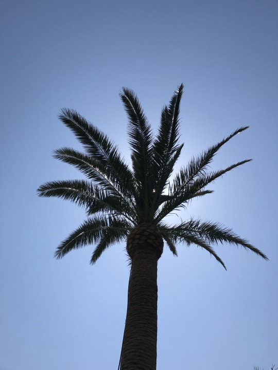 Sonstiges Calimera Sirens Beach