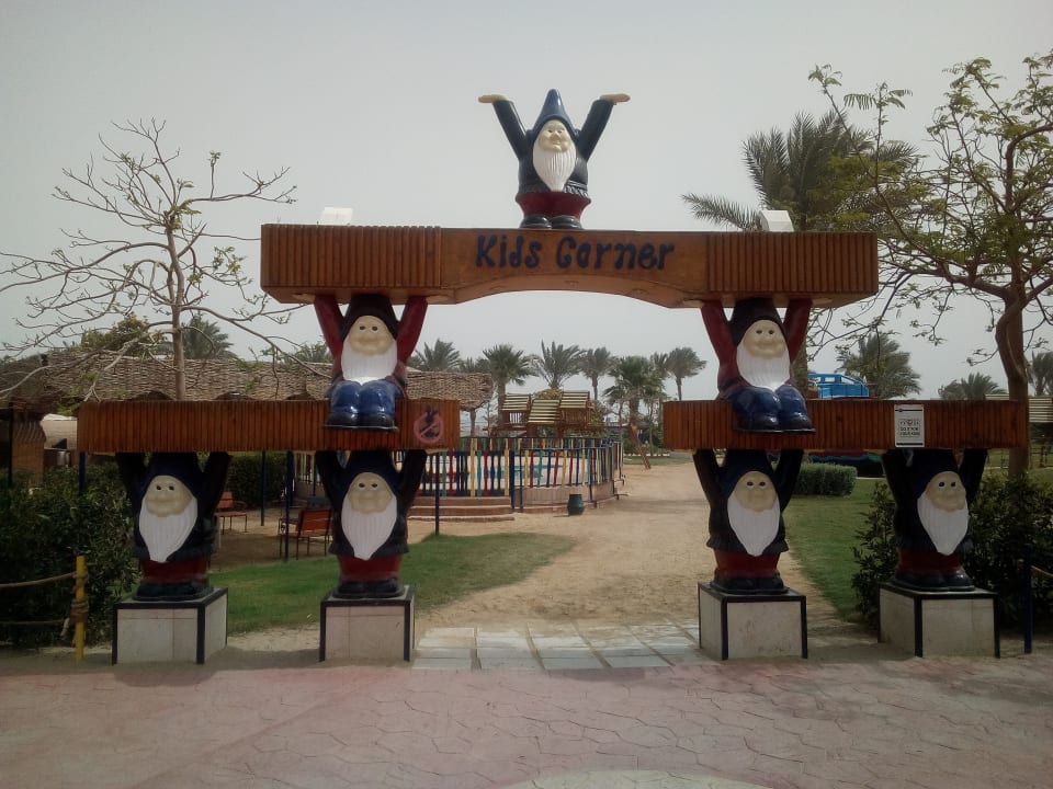 Sport & Freizeit Desert Rose