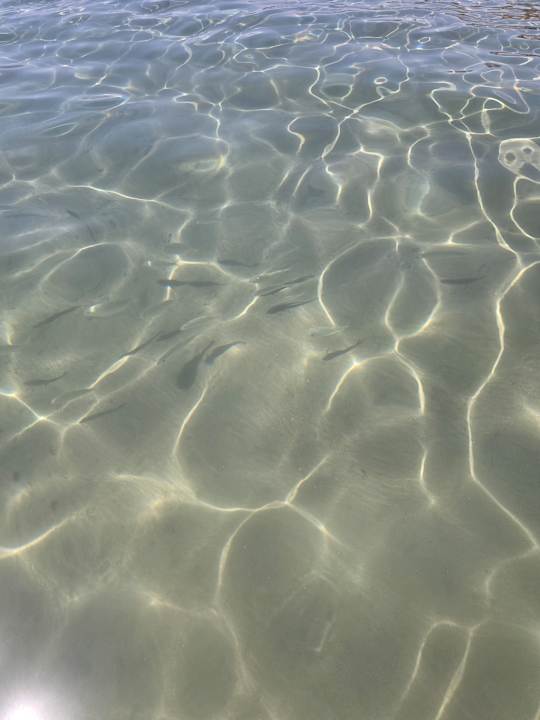 Strand Sentido Caribbean World Soma Bay