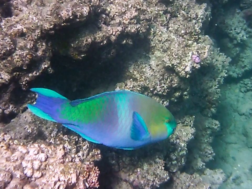 Sport & Freizeit Three Corners Equinox Beach Resort