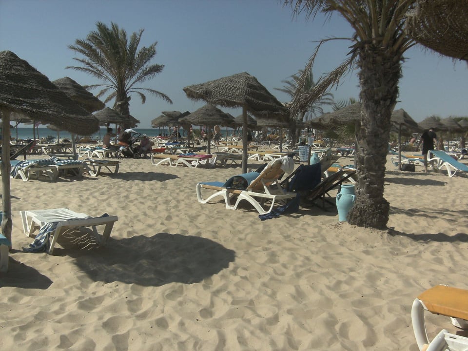 Wer brauch da die Karibik... Hotel Paradis Palace