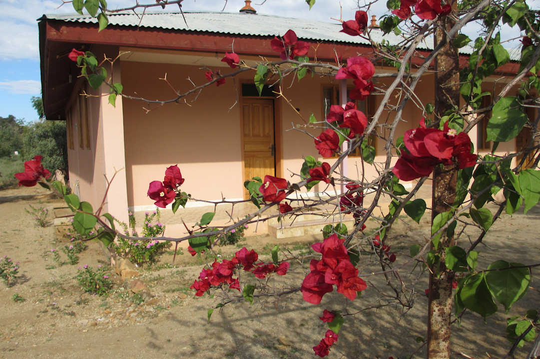 Reihenbungalow Turmi Lodge