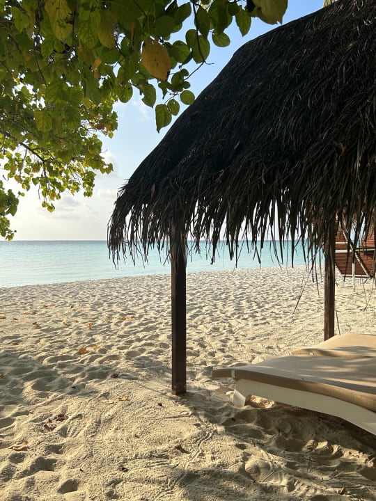 Strand Summer Island Maldives