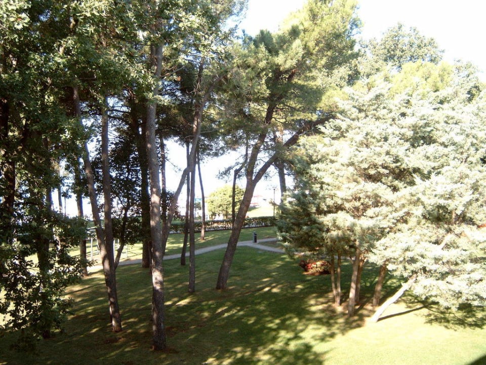 Blick zum Meer vom Hotel Hotel Aurora Plava Laguna