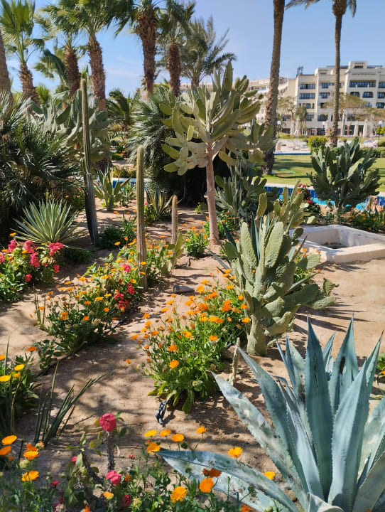 Gartenanlage Steigenberger ALDAU Beach Hotel