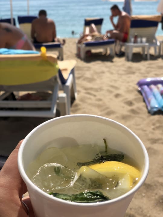 Gastro Sentido Marea