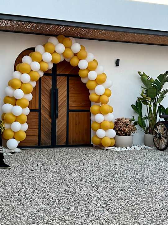 Strand Seashell Vega