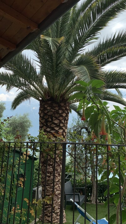 Ausblick Relax Hotel Villa La Gardenia & Oleandra