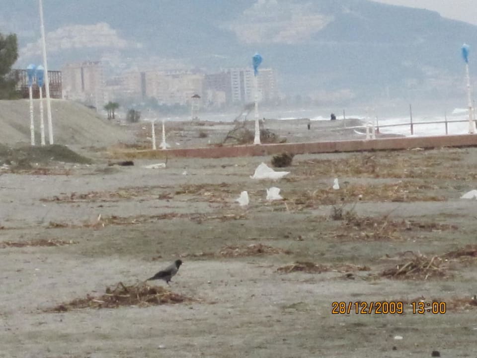 Winter 2009 Labranda Alantur Resort