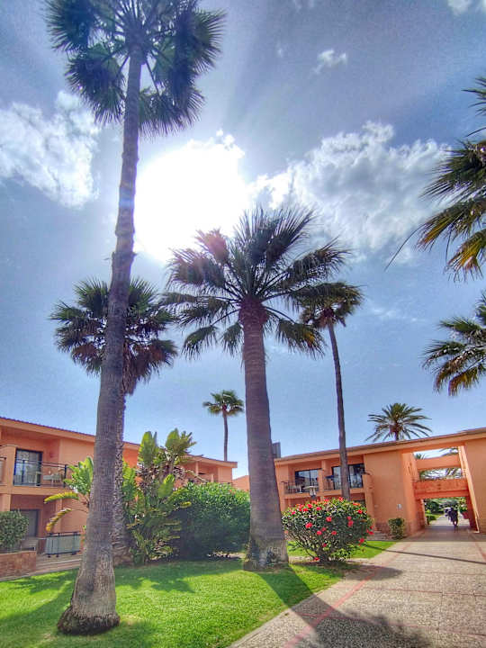 Gartenanlage PortBlue Club Pollentia Resort & Spa