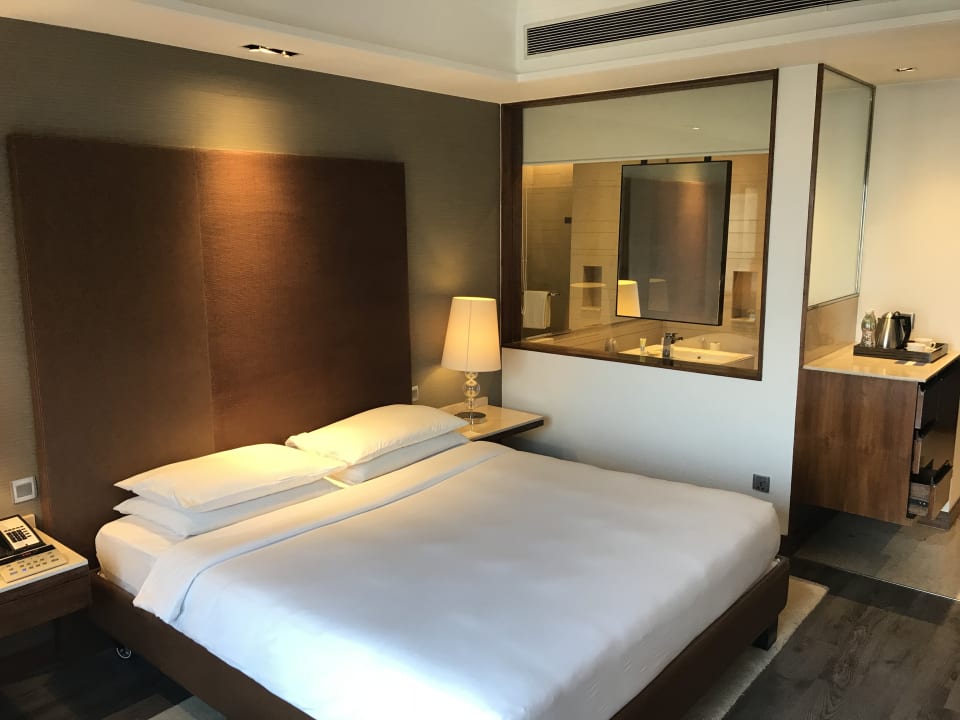 Zimmer Hotel Hyatt Ahmedabad