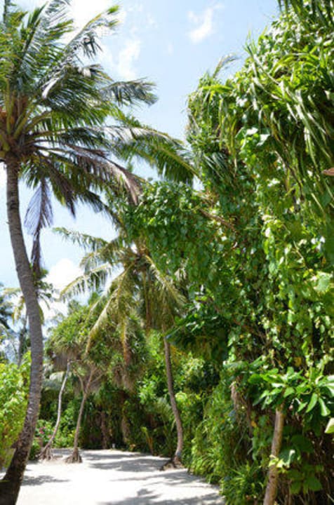 Inselwege Adaaran Select Meedhupparu Island Resort - Premium All Inclusive