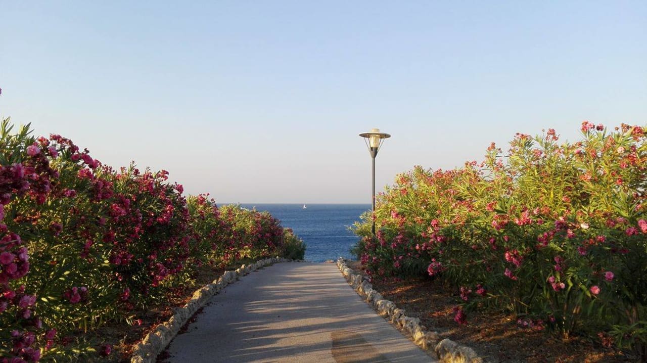 Ausblick Kresten Palace Hotel