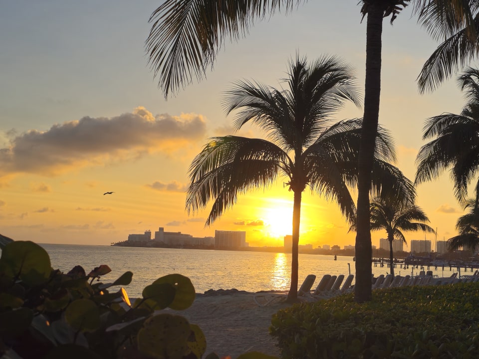 Ausblick Hotel Riu Caribe