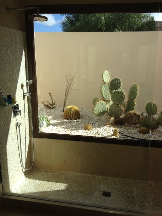 Dusche mit Kakteengarten Alondra Villas & Suites