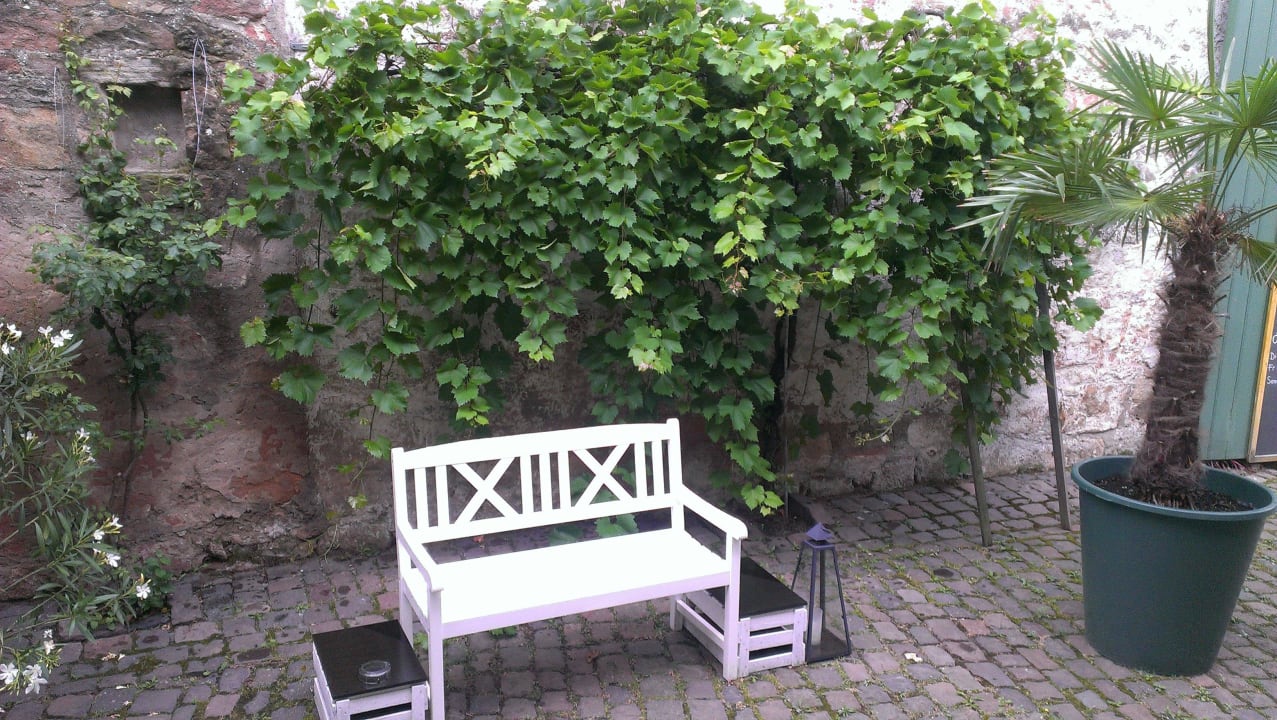 Bank Rebstöckel Gästehaus WeinHof & Vinothek