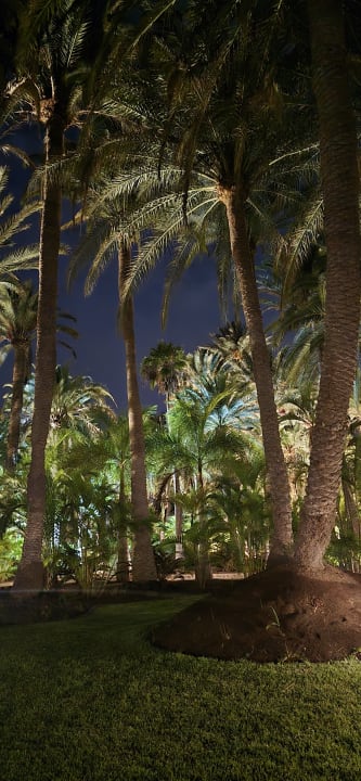 Gartenanlage Hotel Riu Palace Oasis