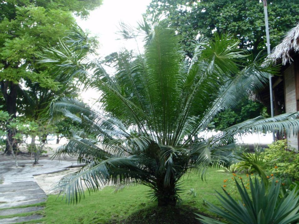 garten Hotel Siladen Resort & Spa