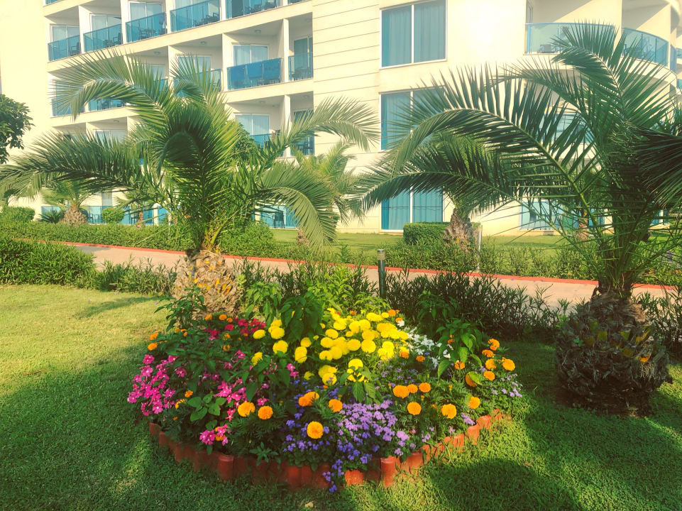 Gartenanlage Sultan of Dreams Hotel & Spa