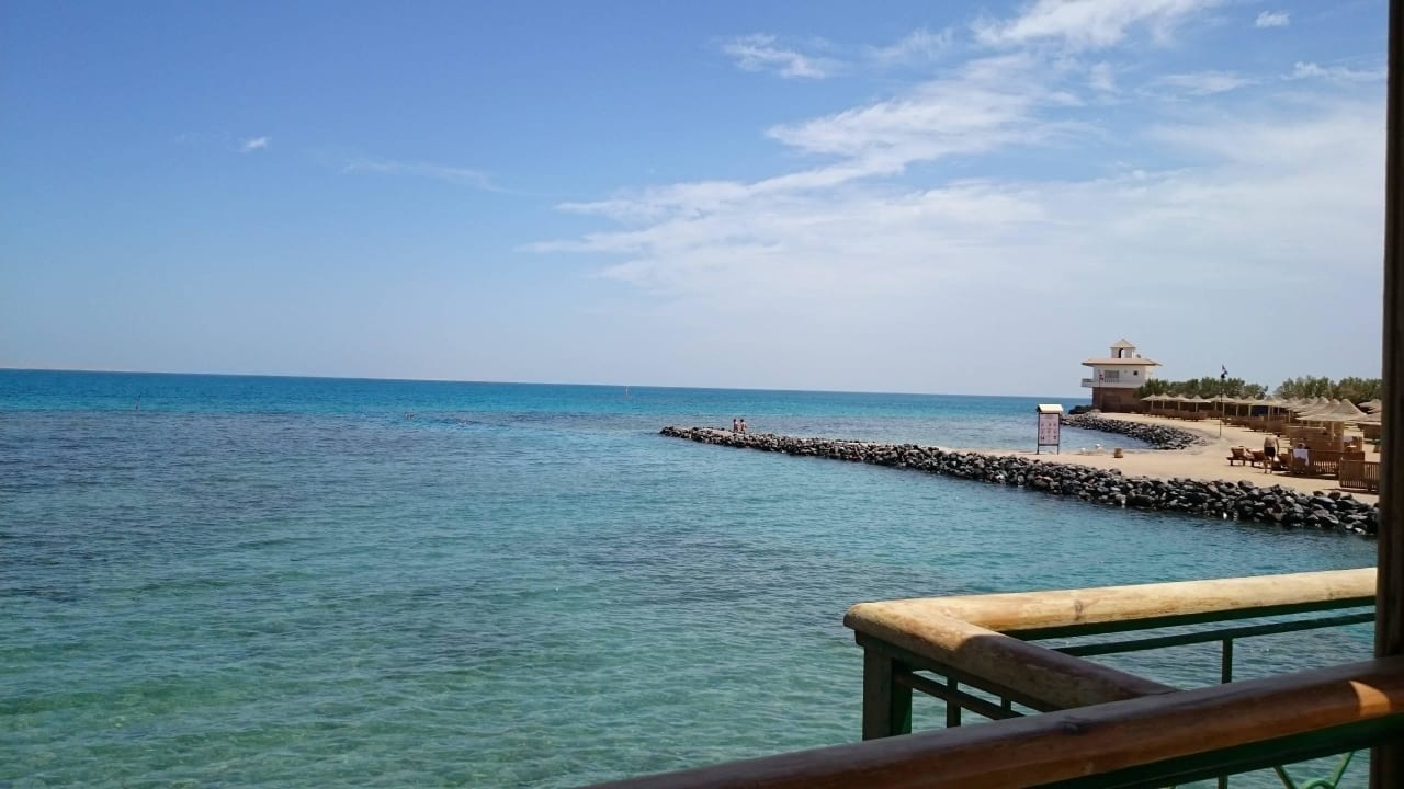 Aussicht Desert Rose