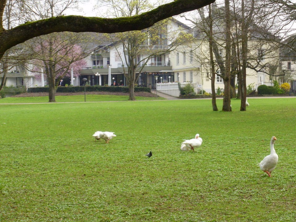 Blick vom Park auf das Hotel Nells Park Hotel