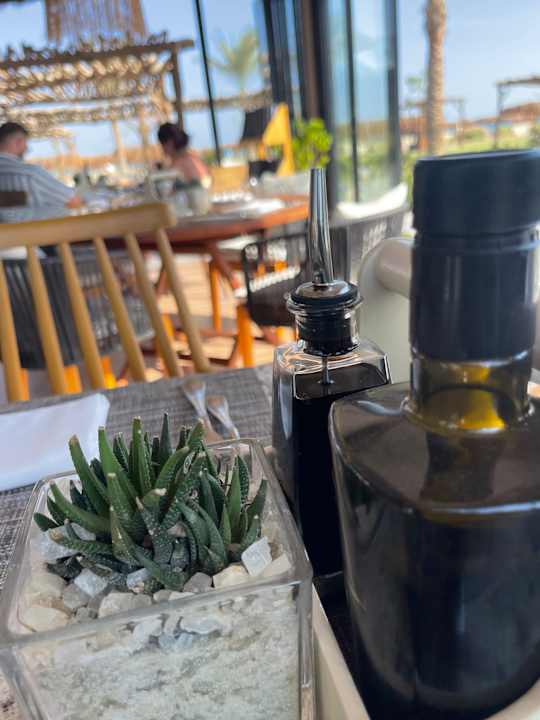 Ausblick Steigenberger Resort Ras Soma