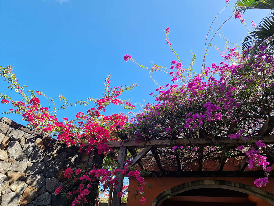 Gartenanlage Lagoon Attitude - Adults only