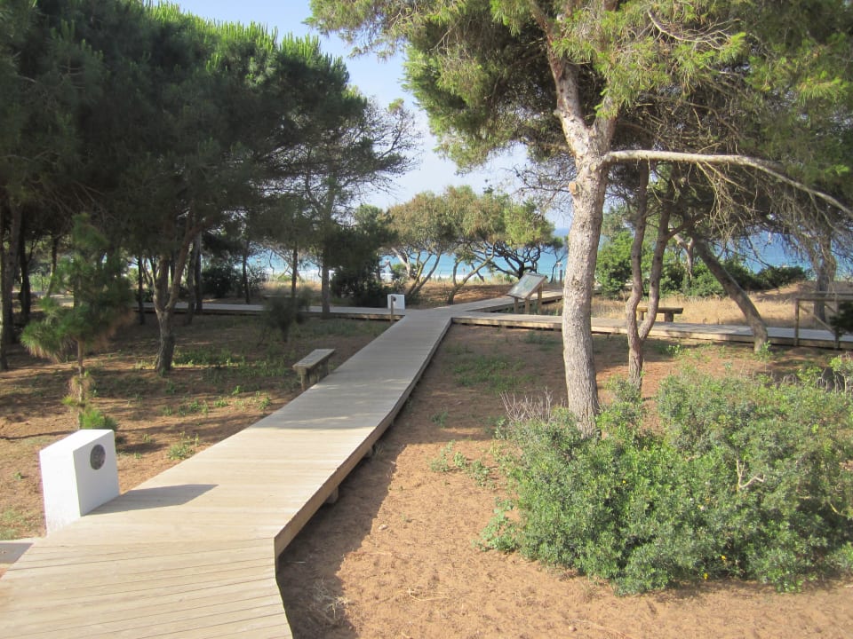 Weg vom Hotel zum Strand Hipotels Gran Conil Hotel