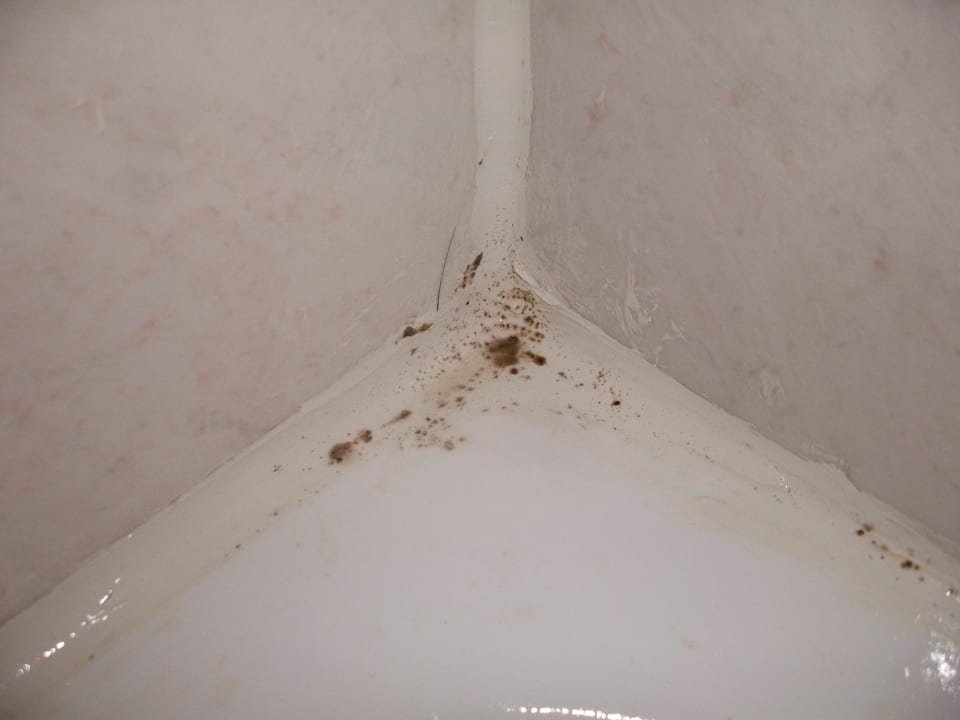 Feuchtigkeitsschäden Iberostar Selection Santa Eulalia Ibiza