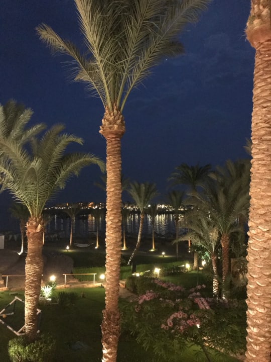 Von Restaurantterrasse aufs Meer bei Nacht Steigenberger Coraya Beach - Adults only