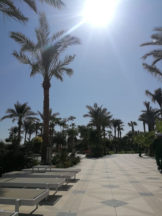 Gartenanlage Siva Grand Marina