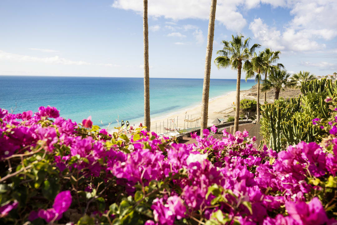 Außenansicht ROBINSON ESQUINZO PLAYA