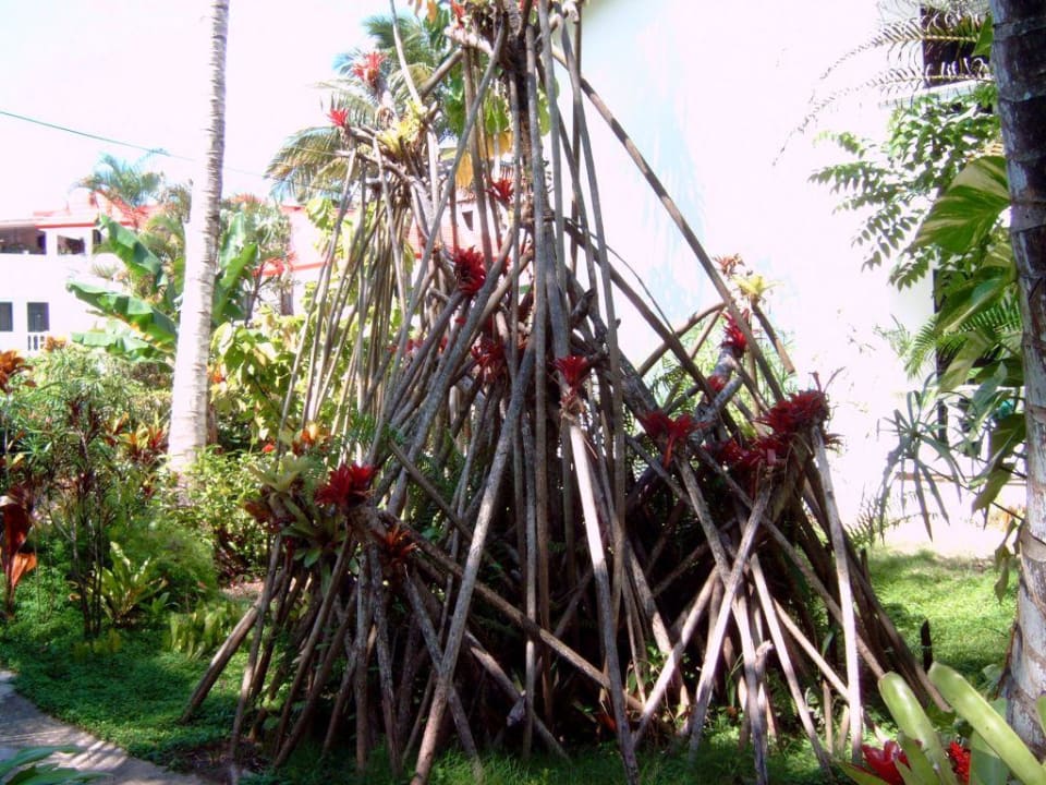 Garten1 Casa Phönix Annex Isla Verde