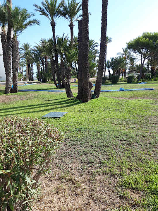 Gartenanlage Calimera One Resort Jockey