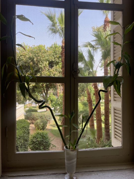 Ausblick Sofitel Winter Palace Luxor & Pavillon Winter Luxor